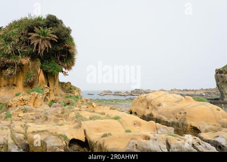 Heping Island Park scenario costiero formazione rocciosa a Keelung, Taiwan Foto Stock