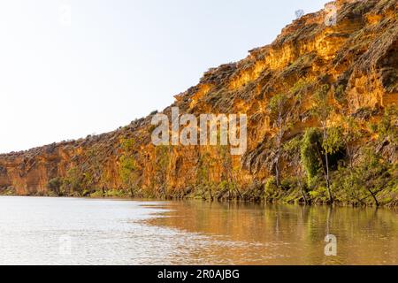 Murray River, un grande sistema fluviale in Australia adiacente al nuovo Galles del Sud, Victoria e South Australia Foto Stock