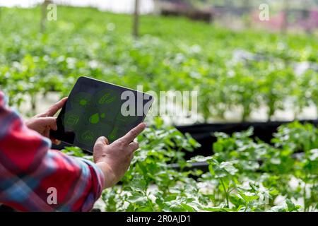 IoT, Internet of Things, agricoltura moderna, concetto di sistema agricolo intelligente. Tecnologia Internet che collega dispositivi e strumenti. gestione del computer digitale Foto Stock