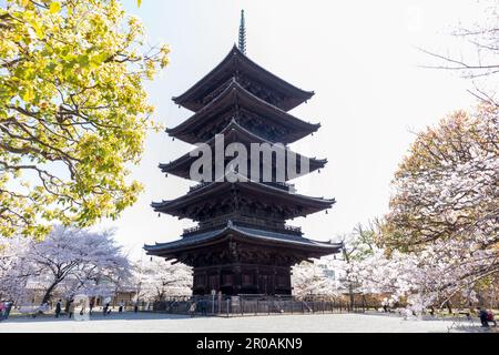 Kyoto Giappone - 28 marzo 2023: To-ji Gojunoto (Pagoda a cinque piani) e Sakura in fiore nel tempio to-ji a Kyoto, Giappone Foto Stock