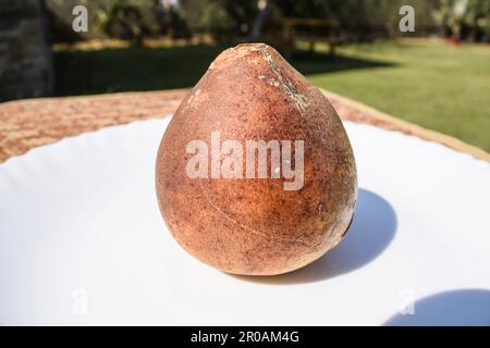 Mela di pietra indiana o mela di legno conosciuta anche come frutta di Bael Foto Stock