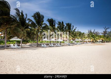 Spiaggia con ombrelloni e lettini, Hotel Saigon Ninh Chu Resort, Phan Rang, South China Sea, Provincia di Ninh Thuan, Phan Rang, Vietnam, asia Foto Stock