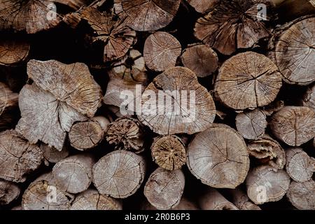 Sfondo dei log tagliati. Palo di natura segato legno alberi texture. Tronchi di alberi, legno di fondo. Industria del legno messo insieme. Decorazione di alberi da taglio tondi anelli annuali con strisce di varie dimensioni Foto Stock