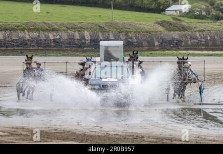 Corse al trotto a Harbour View Beach, Kilbrittain, Co. Cork. Maggio 2023 Foto Stock