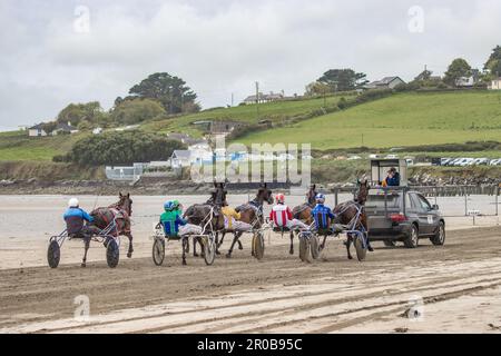 Corse al trotto a Harbour View Beach, Kilbrittain, Co. Cork. Maggio 2023 Foto Stock