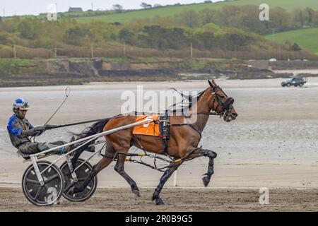 Corse al trotto a Harbour View Beach, Kilbrittain, Co. Cork. Maggio 2023 Foto Stock