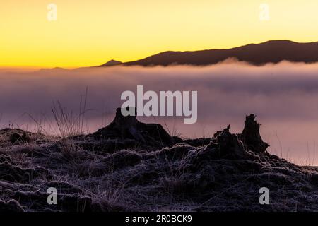 Immagine scattata durante una sessione di Workshop privato gestita da Edinburgh Photography Workshop a A82, Highland, Scotland, PH49 4HZ, Regno Unito Foto Stock