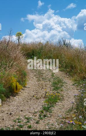 Curva strada sterrata in primavera di Sicilia, Italia Foto Stock