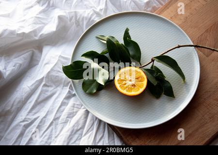 Limone e ramo d'albero su un piatto in camera da letto Foto Stock