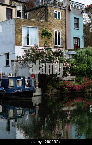 Londra - 05 21 2022: Casa galleggiante ormeggiato sul Canal Grande Union al largo di Elkstone Rd vicino a una casa e piante di rosa e geranio Foto Stock