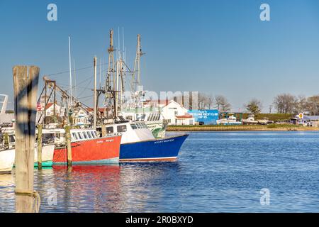 Un gruppo di barche da pesca commerciali al molo di Montauk Foto Stock