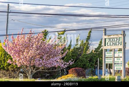 Paesaggio con il cartello Viking Landing a Montauk, NY Foto Stock