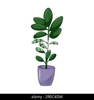 Mano disegnata simpatica illustrazione estiva di ficus crescente in vaso. Pianta domestica vettoriale piatta isolata su sfondo bianco. Illustrazione Vettoriale