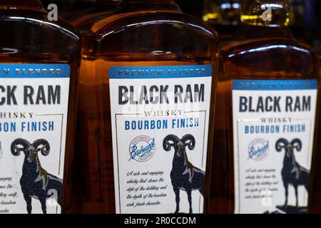 Tyumen, Russia-17 marzo 2023: RAM nera del marchio whiskey sullo scaffale del supermercato. Foto Stock