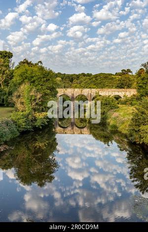 River Torridge; Beam Bridge View; Devon; UK Foto Stock