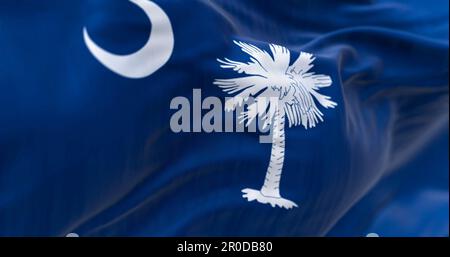 Particolare dell'ondulazione della bandiera di stato del South Carolina. Campo blu con palmetto bianco e mezzaluna. Stati UNITI. Tessuto ondulato. Sfondo strutturato. 3d il Foto Stock