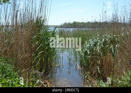 Il lago Durankulak conservato si trova in Bulgaria Foto Stock