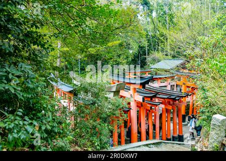 Kyoto, Giappone - 24 marzo 2023: Colonne presso l'iconico Santuario di Fushimi Inari Foto Stock