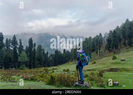 Un escursionista guarda verso le montagne coperte di nuvole Himalayan gamma durante una mattina presto trekking lungo il percorso al lago Sorus nel Kashmir Sud. L'incantevole lago di Sorus si trova ad un'altezza di circa 3.750 metri che continua ad affascinare i visitatori soprattutto durante la stagione primaverile, quando l'incantevole lago è circondato dalla vista di maestose montagne innevate. Nella regione montuosa del Kashmir, il trekking è una popolare attività all'aperto che prevede escursioni o passeggiate attraverso terreni accidentati, spesso per un periodo prolungato. È un modo eccellente per vivere la natura, cha Foto Stock