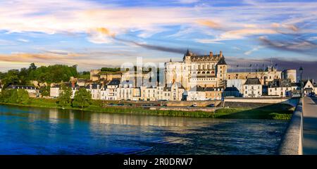 Grandi castelli medievali e città storiche di Francia - Chateau Amboise, valle della Loira fiume Foto Stock