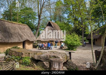 Ricostruito insediamento protostorico con case dell'età del bronzo e del ferro presso l'Archeosite all'aperto e Museo di Aubechies-Beloeil, Hainaut, Belgio Foto Stock