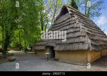 Insediamento protostorico ricostruito che mostra la casa gallica dell'età del ferro all'aperto Archeosite e Museo di Aubechies-Beloeil, Hainaut, Belgio Foto Stock