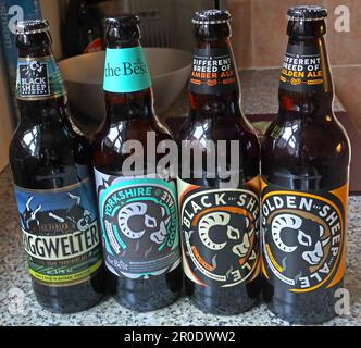 Birre in bottiglia della Black Sheep Brewery, Wellgarth House, Wellgarth Court, Crosshills, Masham, Ripon, Yorkshire, Inghilterra, HG4 4EN Foto Stock