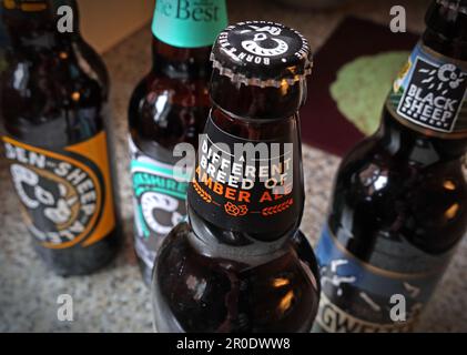 Birre in bottiglia della Black Sheep Brewery, Wellgarth House, Wellgarth Court, Crosshills, Masham, Ripon, Yorkshire, Inghilterra, HG4 4EN Foto Stock