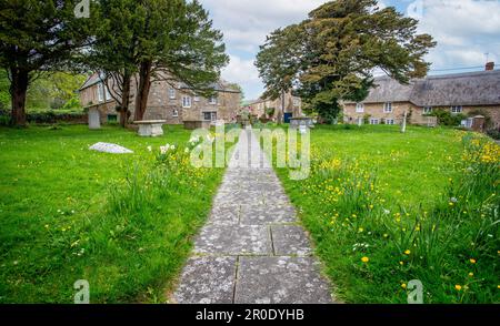 Percorso fiancheggiato da coppe e narcisi gialle che conducono dalla Chiesa di Santa Maria al villaggio di Burton Bradstock, Dorset, Regno Unito, il 5 maggio 2023 Foto Stock