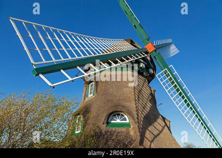 Mulino a vento Charlotte, Nieby, Geltinger Birk, Gelting Bay, Schleswig-Holstein, Germania Foto Stock