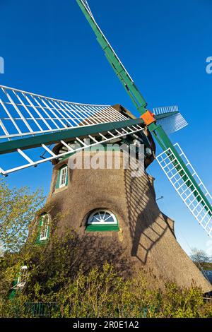 Mulino a vento Charlotte, Nieby, Geltinger Birk, Gelting Bay, Schleswig-Holstein, Germania Foto Stock