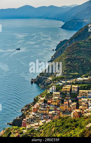 I vigneti sopra Riomaggiore, cinque Terre, Liguria, Italia Foto Stock