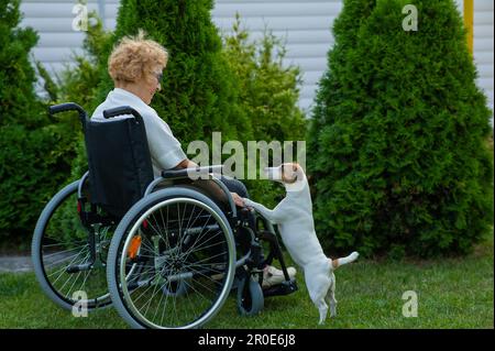 Felice donna anziana in sedia a rotelle gioisce a camminare con il cane all'aperto. Foto Stock