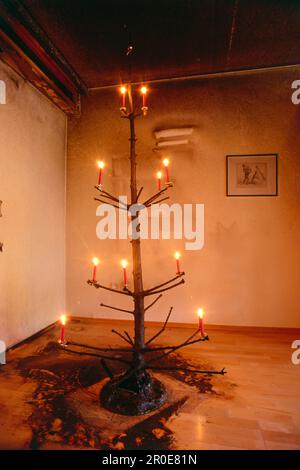 Bruciato albero di natale Foto Stock