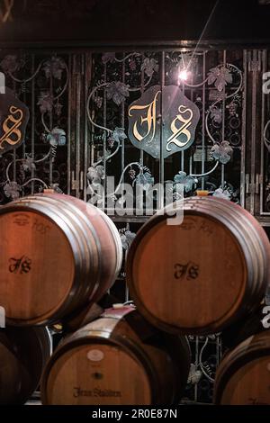 Botti di legno nella cantina, Weingut Stodden an der Ahr, Renania-Palatinato, Germania Foto Stock