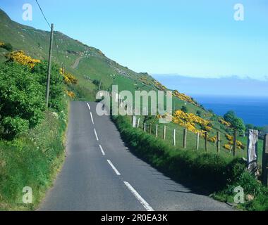 Strada di campagna sulla costa, Torr Head, Antrim, Irlanda del Nord, Gran Bretagna, Europa Foto Stock