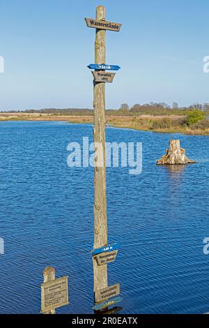 Gauge d'acqua, blogging controllato, grande laguna, Geltinger Birk, Schleswig-Holstein, Germania Foto Stock