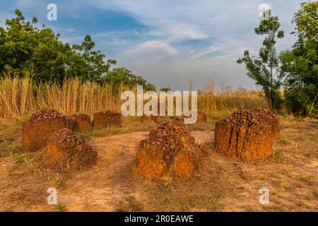 Sito dell'UNESCO: Circoli di pietra senegambiani, Wassu, Gambia Foto Stock