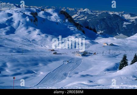 Regione sciistica Kitzbuhel, Tirolo, Austria Foto Stock