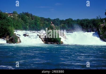 Vista sulle cascate del Reno, Schaffhausen, Svizzera Foto Stock