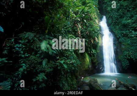 Fontainebleu Wasserfall, Grand Etang Forest Reserve Grenada Foto Stock