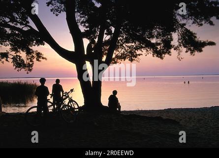 Atmosfera serale al Lago Muritz, Mecklenburg Lake District, Mecklenburg Western Pomerania, Germania Foto Stock