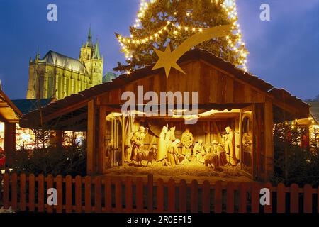 Presepe sul mercatino di natale, cattedrale sullo sfondo, Erfurt, Turingia, Germania Foto Stock
