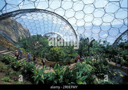 The Eden Project, vista interna di una serra a forma di cupola, Cornovaglia, Inghilterra, Gran Bretagna, Europa Foto Stock