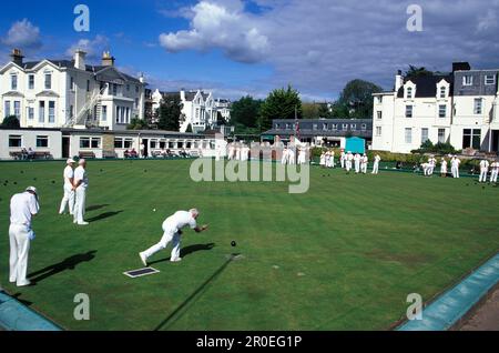 Persone bowling al Bowling Club, Torquay, Devon, Inghilterra, Gran Bretagna, Europa Foto Stock