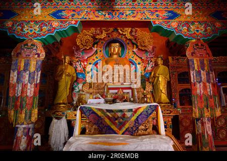 Statua di Buddha, Monastero di Matho, Ladakh, Jammu e Kashmir, India Foto Stock