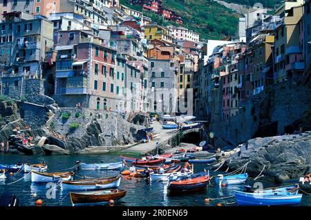 Vernazza in serata, vista dall'alto, cinque Terre, Liguria, Italia Foto Stock