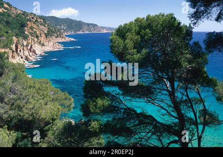 Paesaggio costiero vicino a Tossa de Mar, Costa Brava, Provinz Girona, Catalogna, Spagna Foto Stock