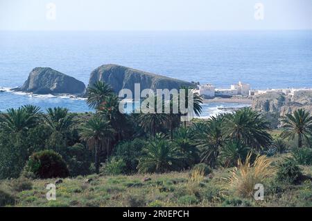 Vista sulle palme e le case bianche della costa, la Isleta del Moro, Cabo de Gata, provincia di Almeria, Andalusia, Spagna, Europa Foto Stock