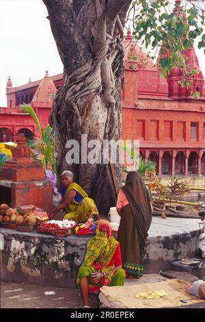 Donne che vendono fiori di fronte al tempio Durga, Varanasi, Benares, Utttar Pradesh, India, Asia Foto Stock